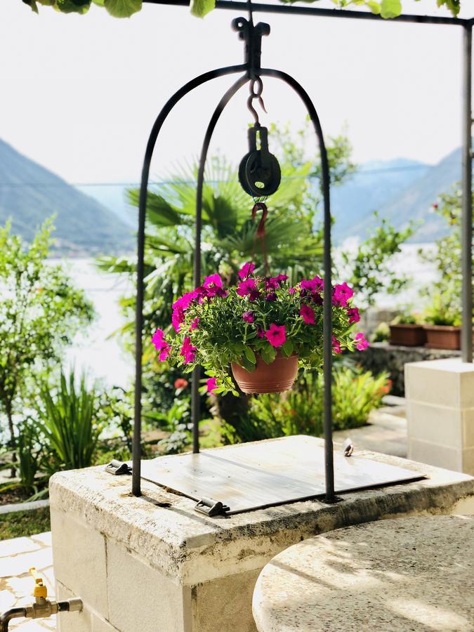 Todorovic Kotor