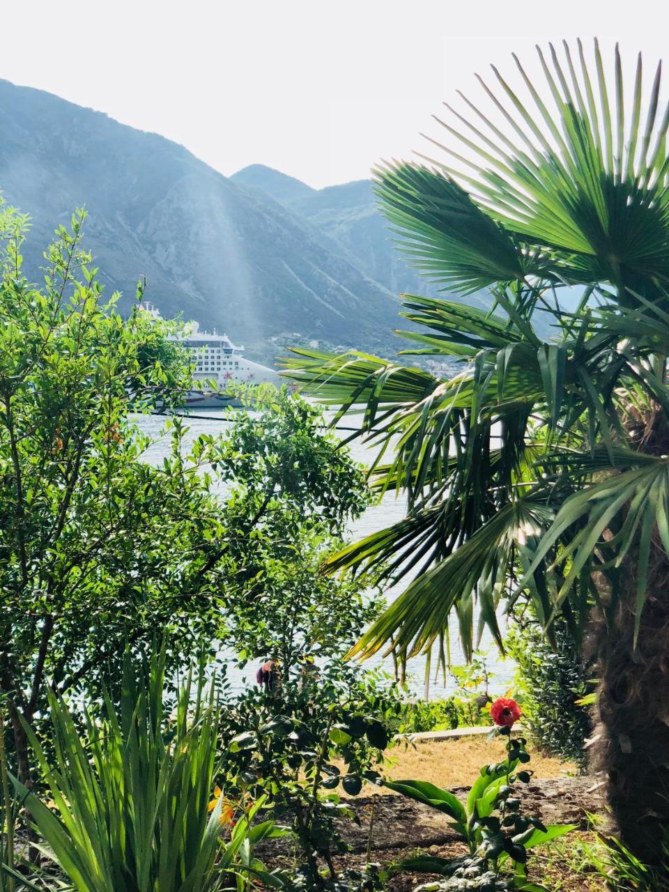 Todorovic Kotor